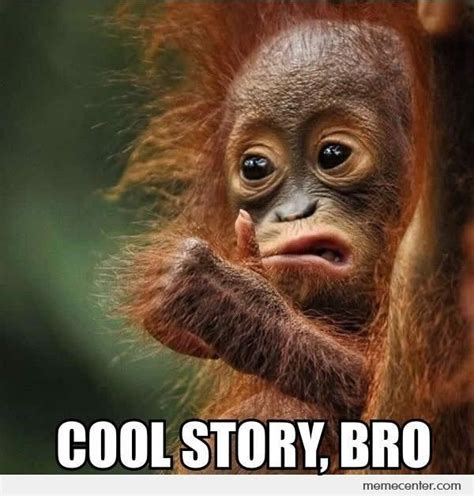 15 Hilarious Monkey Memes To Brighten Your Day Monkeys Funny Funny