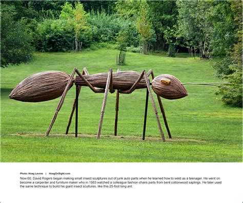 Gigantic Bug Sculptures Of David Rogers Infest Arboretum Hoagonsight