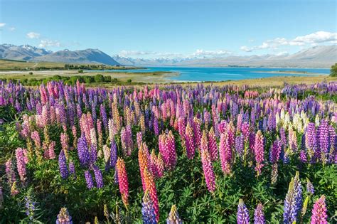We did not find results for: America's Most Beautiful Springtime Destinations | Cool ...