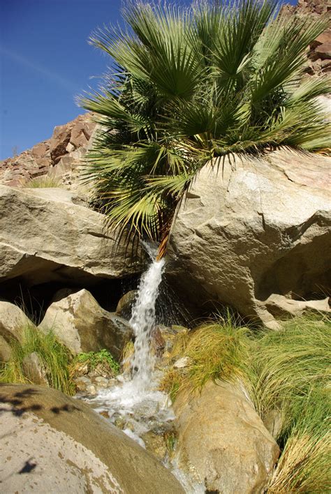 Top 13 Reasons To Visit Anza Borrego Desert State Park California