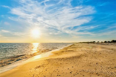 See all pet friendly apartments in dauphin island, al on realtor.com®. Dauphin Island Rentals- Find the Perfect Dauphin Island ...