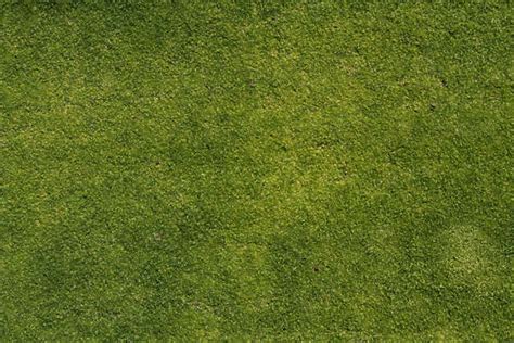 Grass0138 Free Background Texture Aerial Grass Short Green Saturated Seamless Seamless X