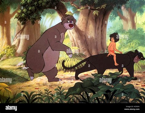 The Jungle Book From Left Baloo The Bear Mowgli Bagheera 1967