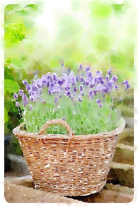 Painted wicker is so hot right now! Waterlogue | Waterlogue, Decorative wicker basket, Wicker ...