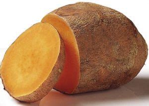 Le vongole sono forse tra i cibi più ricchi di tutti, infatti contengono magnesio, potassio, ma anche sono la prima fonte sia di ferro che di vitamina b12. Alimenti ricchi di potassio - Idee Green