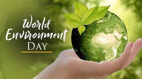 Ahead Of World Environment Day Experts Raise Concerns India News