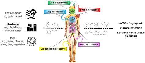 Frontiers Volatilomes Of Bacterial Infections In Humans