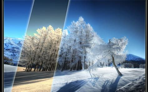 Beautiful Winter Scenery Wallpaper Hd Wallpaper