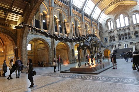 Natural History Museum Bids Farewell To Dippy The Diplodocus London