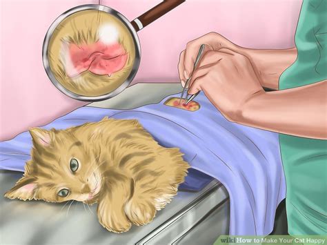 Got a nasty cat that you're trying to make nice with? How to Make Your Cat Happy: 10 Steps (with Pictures) - wikiHow