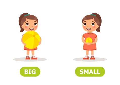 Premium Vector Opposites Of A Big And Small