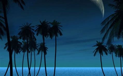 The airbus a380 is now in development for flight simulator. Dr Evelyn Rose