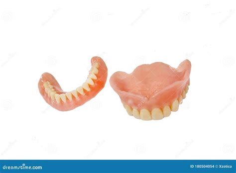 Complete Full Dentures Isolated On White Background Stock Photo Image