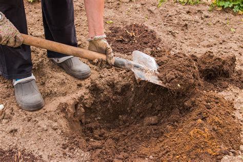 Gardening How To Improve Wet Clay Soil Brian Kidd The News