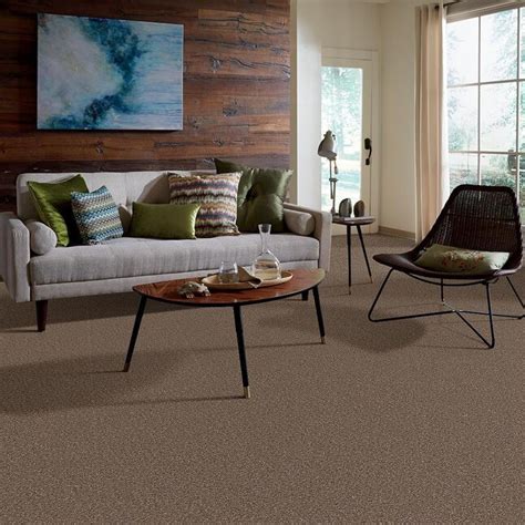 Shaw Wide Width Hubbard 15 Ft Granola Textured Interior Carpet At