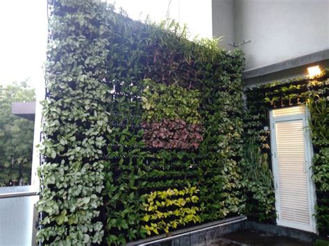 Vertical Garden Wall | Green Living Wall | Artificial Garden Wall - EverGreen Associates