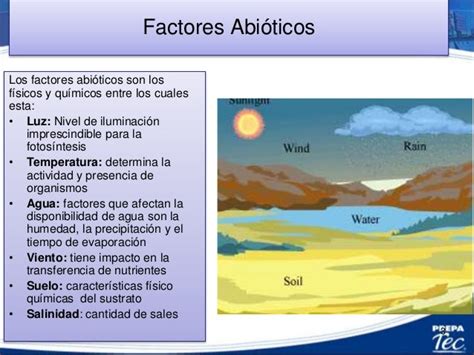 Factores Bioticos Y Abioticos Definicion Y Ejemplos Nuevo Ejemplo Images