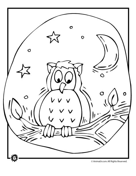 Since their eyes are fixed, it can be very useful. Owl Coloring Pages 614 | Free Printable Coloring Pages ...