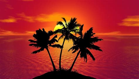 Tropical Sunset Summer Beach Free Image On Pixabay