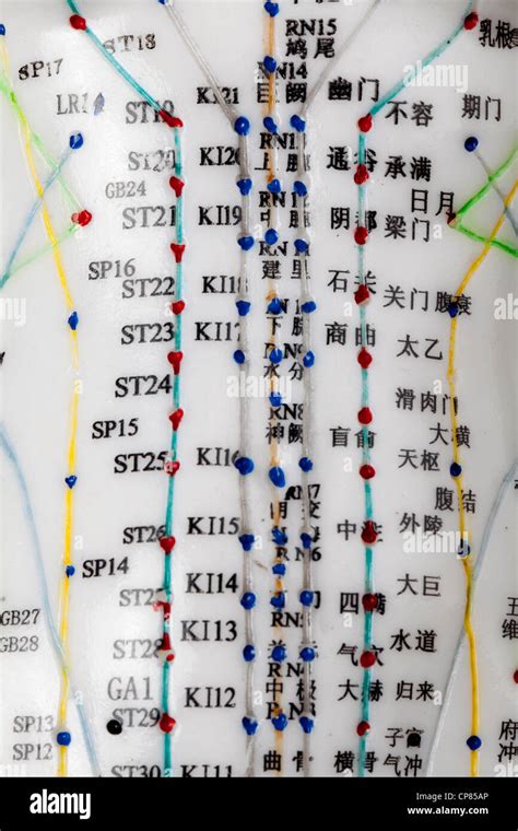 un modèle féminin avec des points d acuponcture les caractères chinois sur les méridiens la