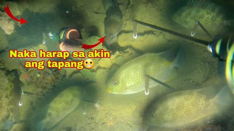 Night Spearfishing Episode Jackpot Sana Kaso Hindi Para Saatin Ang