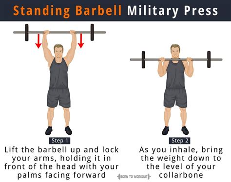 barbell military press what is it how to do muscles worked born to workout