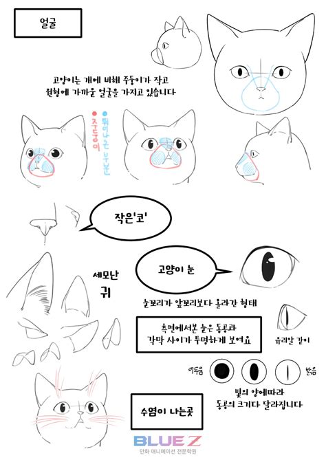 블루젯 만화학원 On X 동물 드로잉 만화 그리기 강좌 고양이 얼굴 그리기