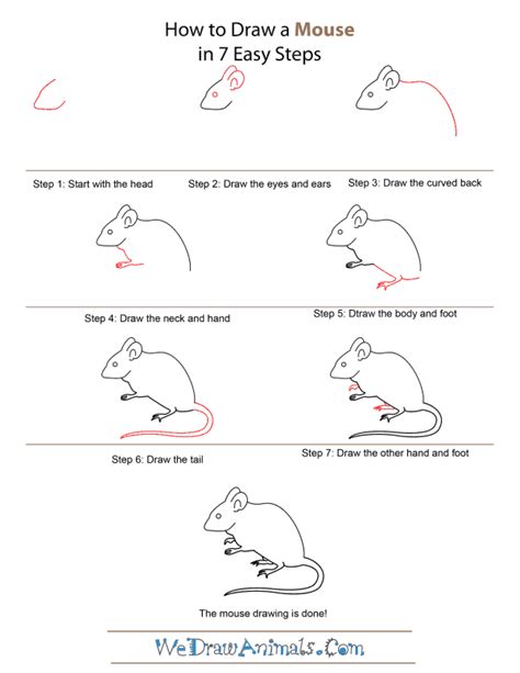 How To Draw A Mouse