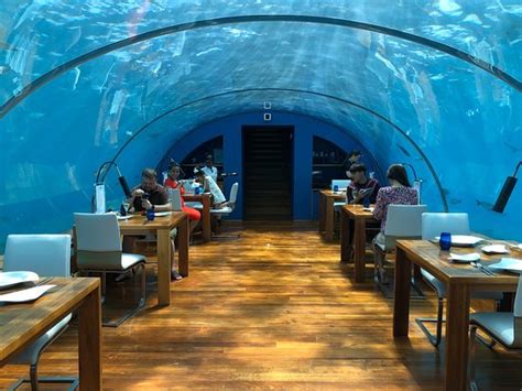 Ithaa Undersea Restaurant Sensasi Makan Di Bawah Laut