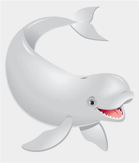 Beluga Whale Cartoon Images