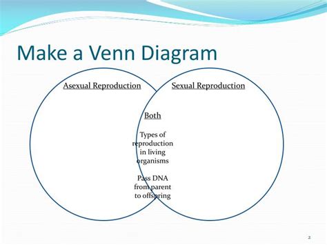 28 Asexual Vs Sexual Reproduction Venn Diagram Wiring