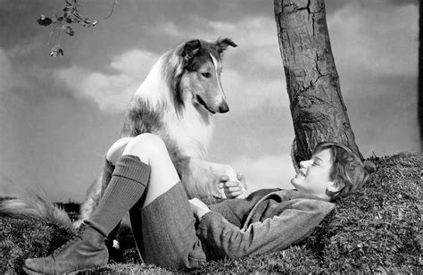 Lassie Come Home 1943 Turner Classic Movies