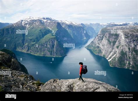 Norwaysogn Og Fjordaneaurlandsognefjordview From The Summit Of