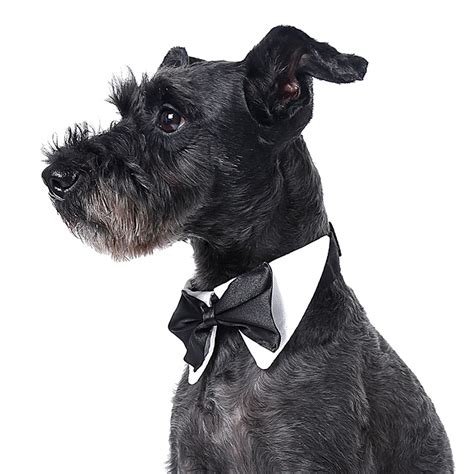 Gentleman Style Black Bow Tie For Pets Dogs Wedding Accessories
