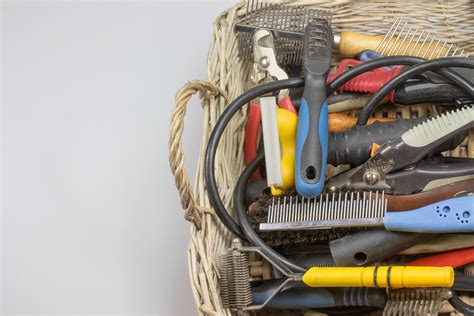 5 Tips for Organizing Pet Supplies – The Organized Mom