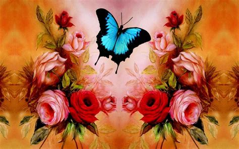 Hd Butterfly Roses Wallpaper Download Free 81014