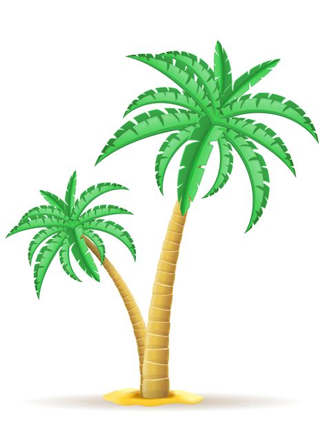 Palm Tree Vector Illustration 509684 Vector Art At Vecteezy