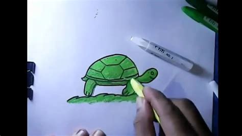 Cara Menggambar Untuk Anak Anak Kura Kura Youtube