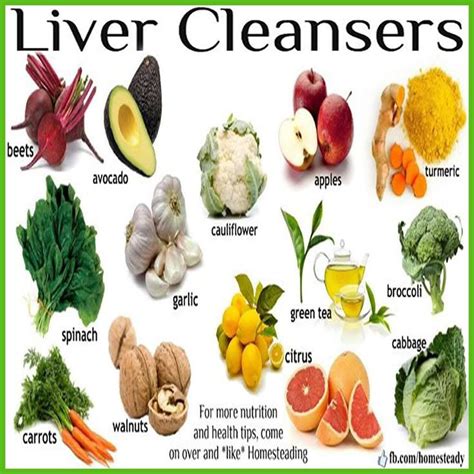 Welcome To The Paleo Network Healthy Liver Healthy Detox Liver Detox