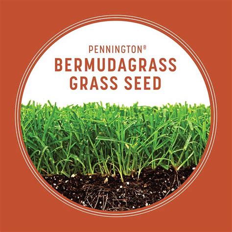 Pennington 100085579 5 Pound Bermudagrass Grass Seed For Southern Sunny