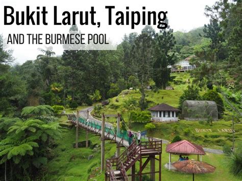 At 1250m above sea level and just 13km from the base of the hill, it was a. Bukit Larut (Maxwell Hill) Taiping - Jeep Schedule ...