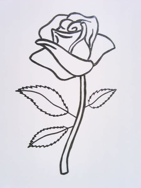 Cómo Dibujar Una Rosa Rosas Para Dibujar A Lápiz