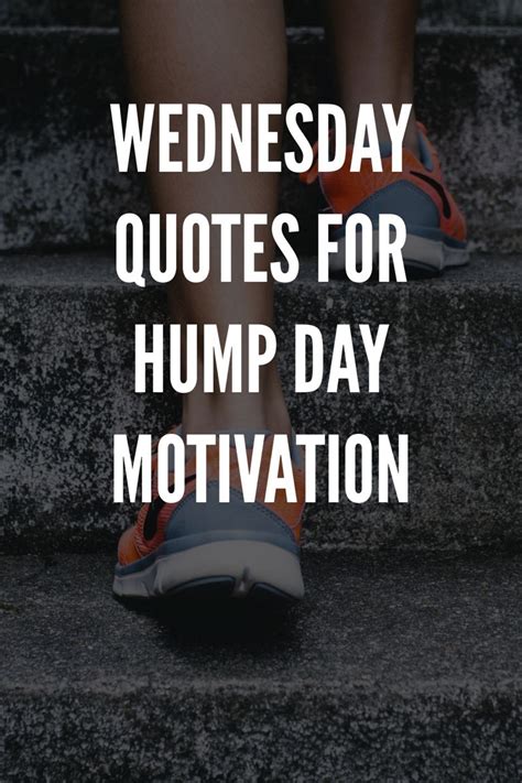 Wednesday Quotes For Hump Day Motivation In 2023 Wednesday Quotes Hump Day Quotes Hump Day