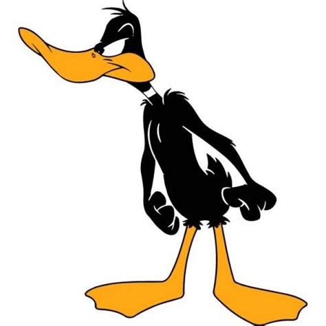 Daffy Duck Cartoons Daffy Duck Daffy Duck Cartoons Looney Tunes