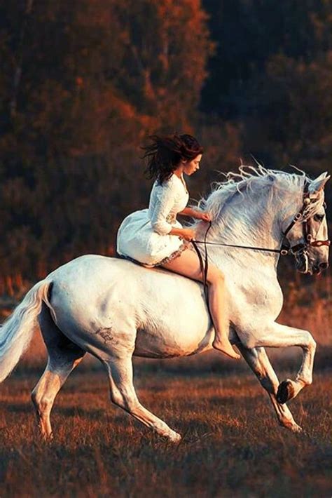 Pictures With Horses Beautiful Horse Pictures Most Beautiful Horses