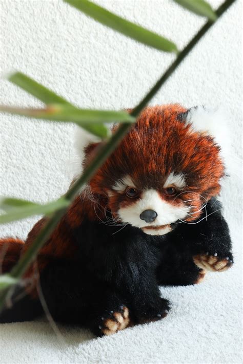 Red Panda Plush Toys Handmade Fantasy Ooak Doll Etsy