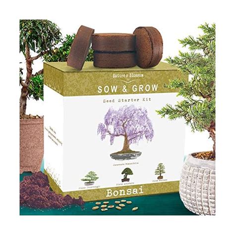 Natures Blossom Bonsai Tree Kit Outdoor And Indoor Garden Kit With