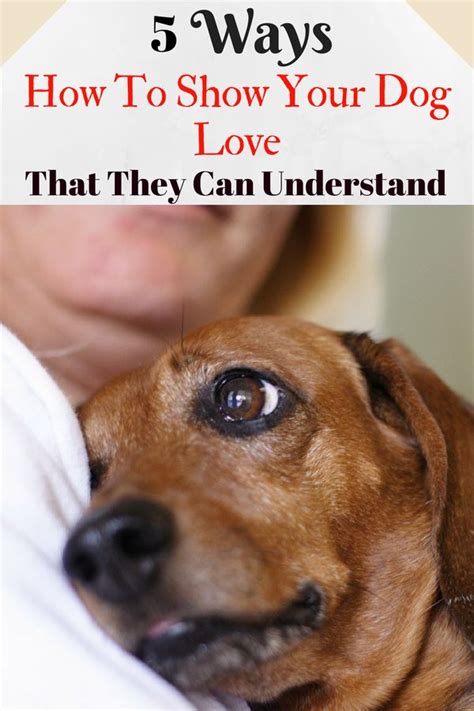 5 Ways How To Show Your Dog Love That They Can Understand Dogs Trust