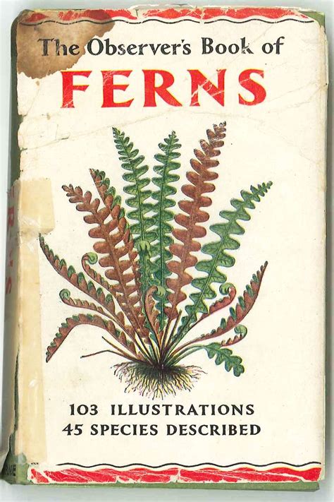 64 Best Fern Books Images On Pinterest Antique Books Ferns And