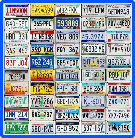 Complete Set 50 United States License Plates All 50 Usa States Bonus Plate Ebay
